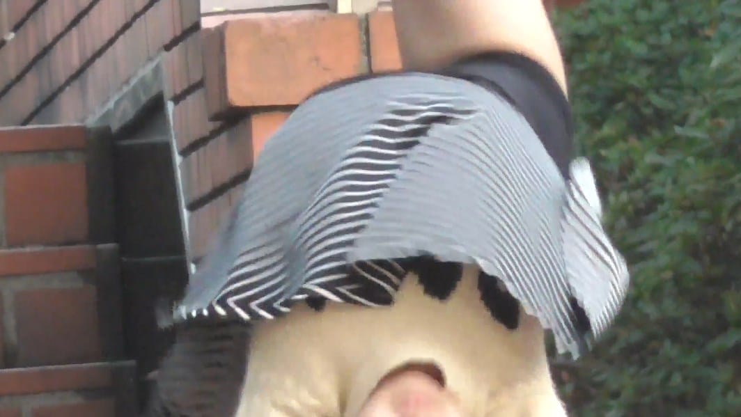 踊ってみたJCのパンチラ