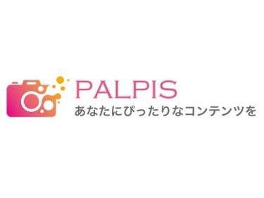 『PALPIS』ってどんなサイト？→盗撮風作品が購入出来るサイトです【購入してみた】