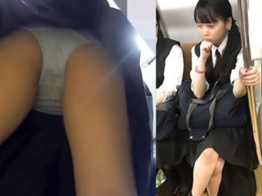 前屈みでクロッチまで丸見えのパンチラを繰り返し盗撮される超絶美少女JK（制服JKちゃんのスカート内抜き打ち検査10）