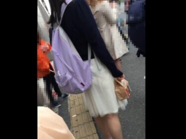 カリ：坂系JDちゃん、スカート裏地がずり上ってパンツが透け透け状態に！【Pcolleレビュー】