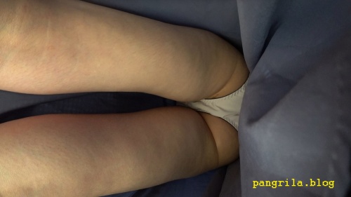 ロンスカ攻略マンっ!:PANGRILA