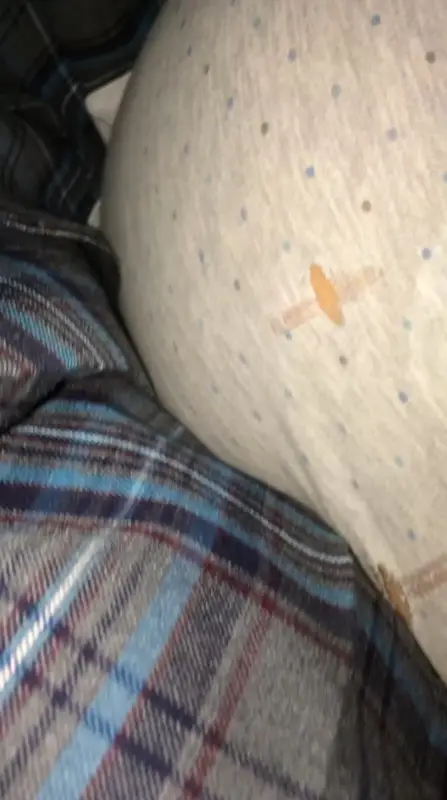 制服女子8 画像つき詳細レビュー