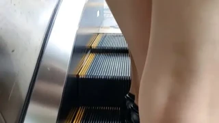 白009 画像つき詳細レビュー